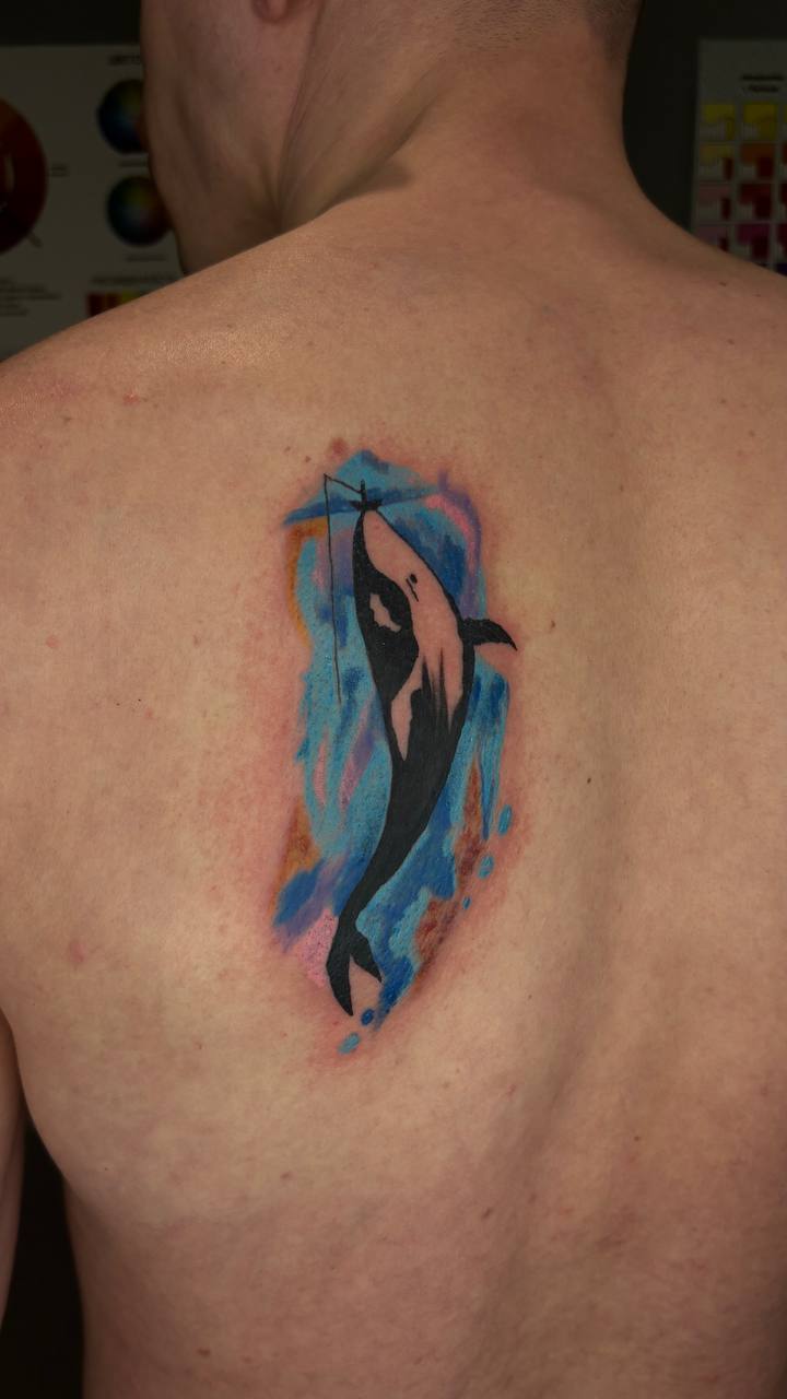 Касатка акварель